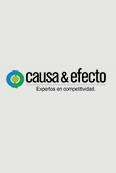 Causa & Efecto S.A.S.