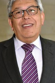 Carlos Arturo Palomino Ulloa