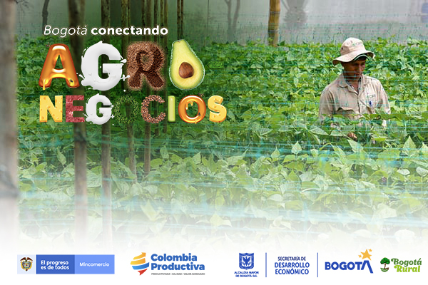 BogotaConectandoNegocios