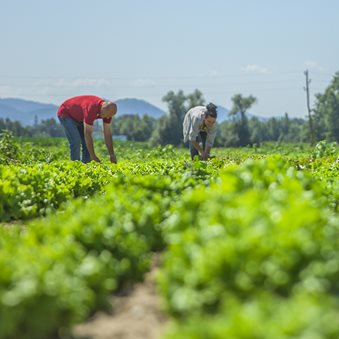 Bogotá Conectando Agronegocios