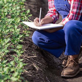 sanitarios nacionales de Bogotá Conectando Agronegocios