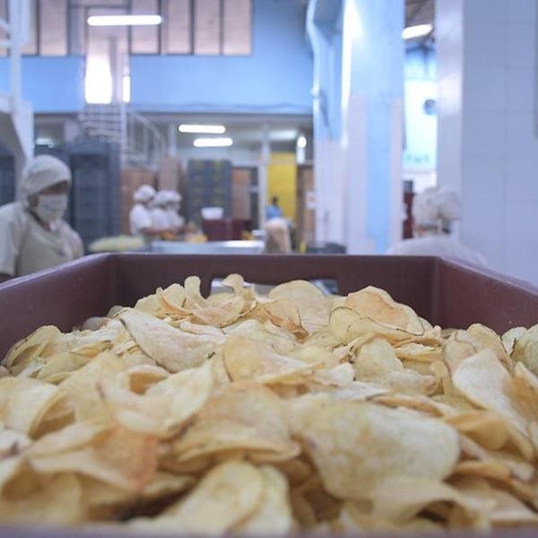 Colombia Productiva busca empresas de alimentos para fortalecer sus proveedores y cadena de suministro