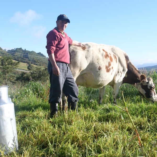 Colombia Productiva abrió convocatoria para mejorar los estándares sanitarios en empresas del sector lácteo y prevenir la adulteración