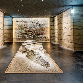Desarrollo de contenidos e identidad de marca del Museo de Historia Natural de Colombia