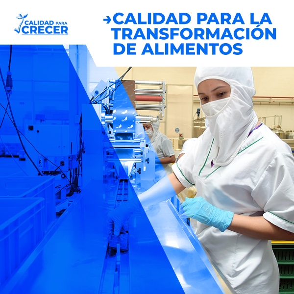 Calidad para la transformación de alimentos: convocatoria para mejorar la calidad e inocuidad de 20 empresas de agroalimentos