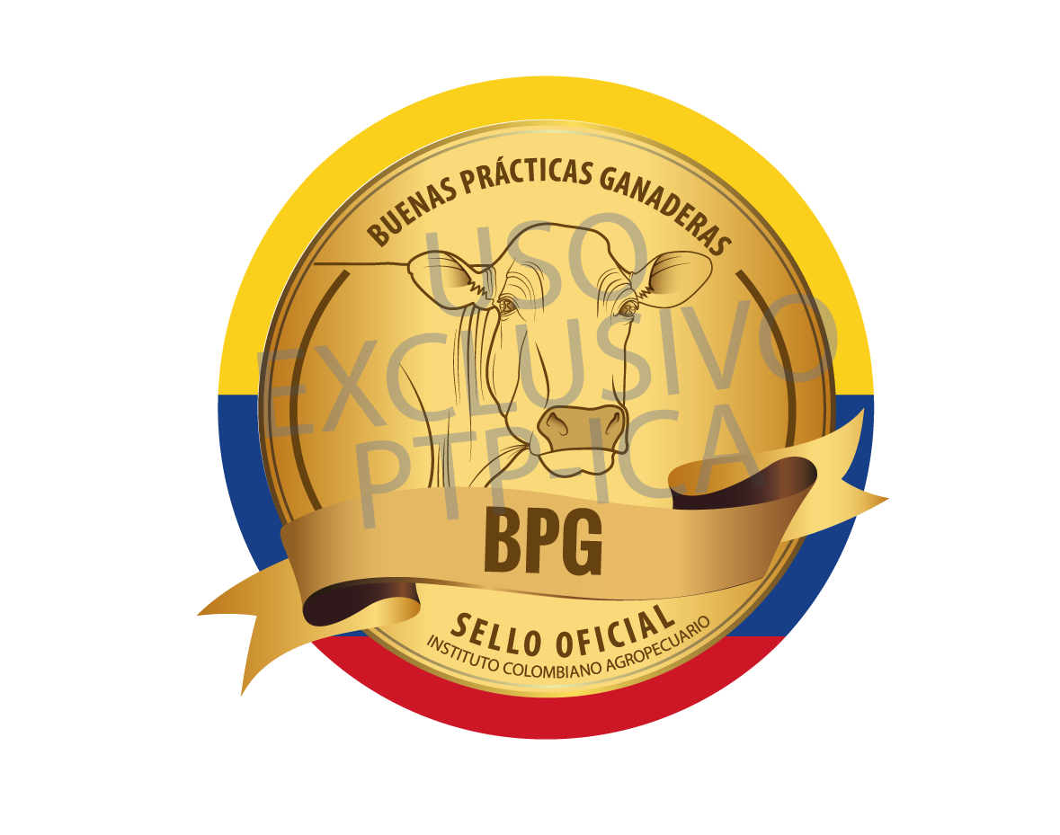 BPG-LOGO-2015-01.png BPG-LOGO-2015-01.png