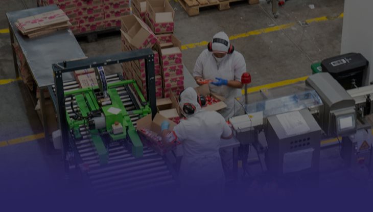 Soluciones por la Reindustrialización