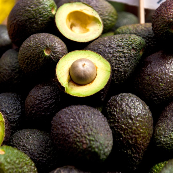 Aguacate EE.UU.