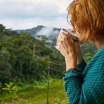 Planes de negocio turísticos para asociaciones cafeteras